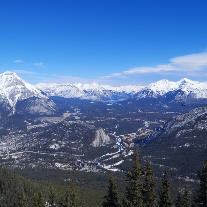 Gut-brain axis conference in Banff, Canada